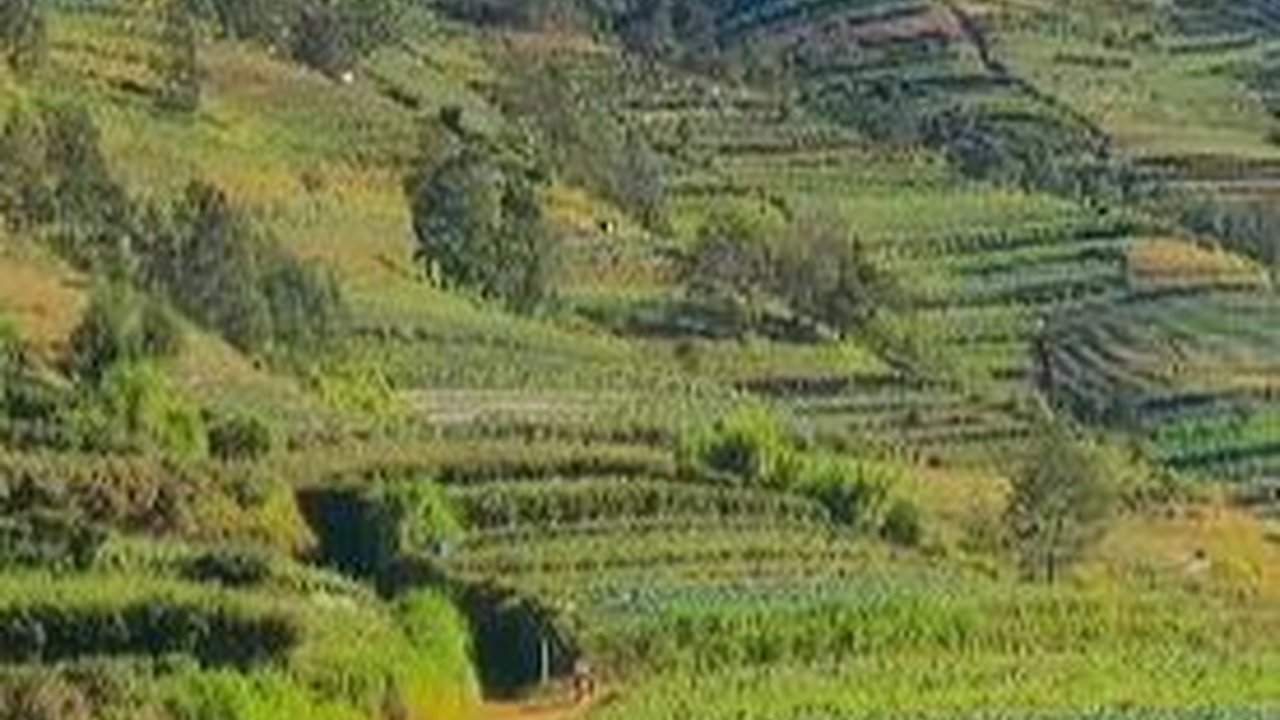 Berwisata ke Blumbang Roto, Hidden Gem di Lereng Gunung Sumbing yang Belum Banyak Diketahui