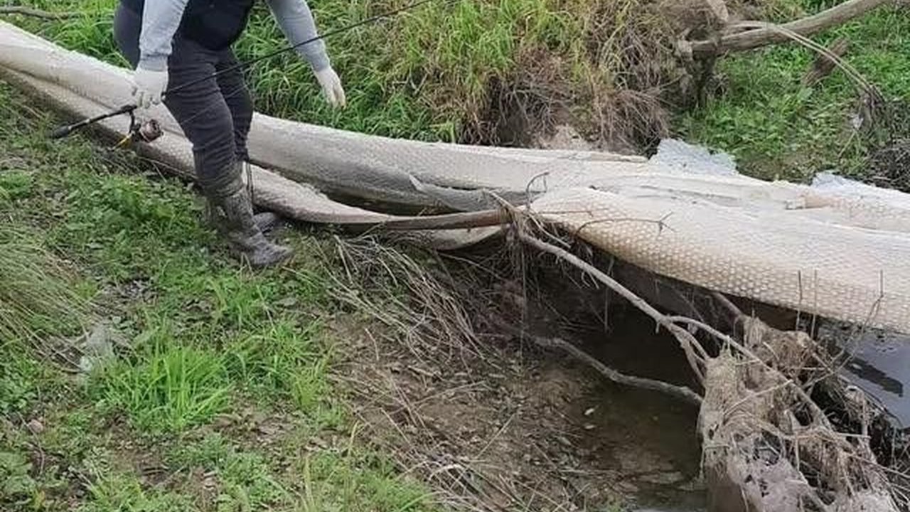 VIDEO: Dua Pria Temukan Benda Aneh saat Mau Mancing, Diduga Kulit Ular Raksasa Terbesar Dunia?