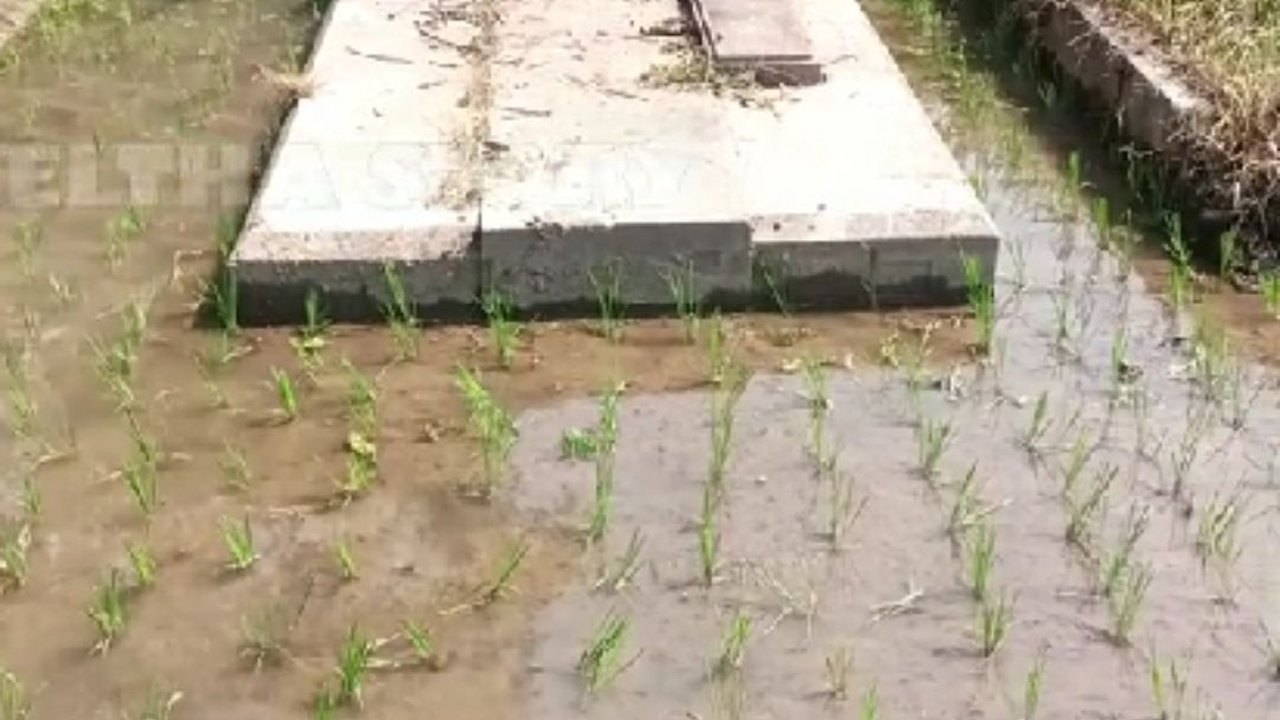 Jejak Makam Mewah Bersejarah di Blitar, Banyak Batu Marmer Hilang Kini Lokasinya Jadi Sawah