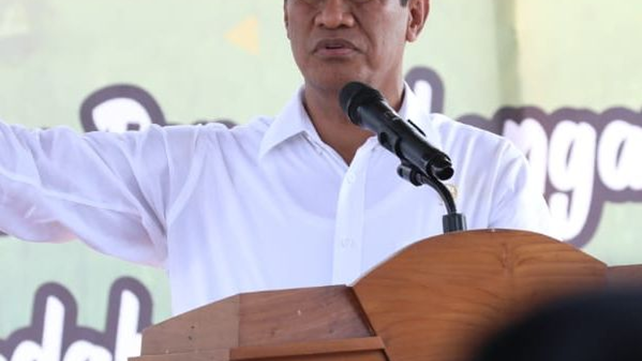 Mentan Amran Dongkrak Produksi di Kalsel dengan Optimasi Lahan Rawa