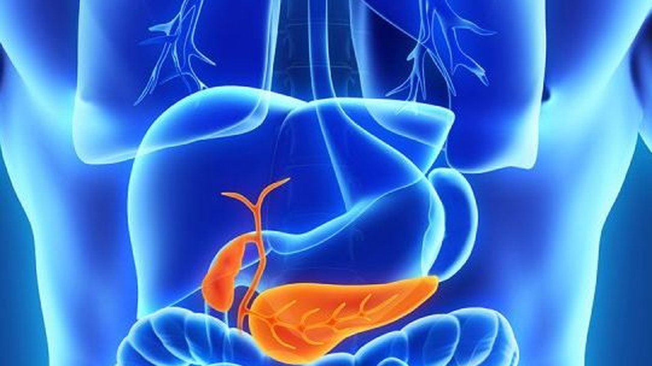 Cara Menjaga Pankreas agar Tetap Sehat, Minimalkan Risiko Diabetes