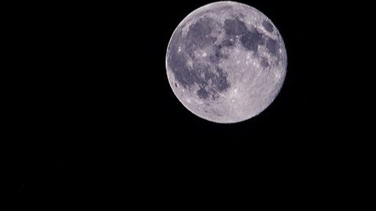 Arti I Love You Moon and Back dalam Bahasa Indonesia, Ketahui Contoh Ucapannya