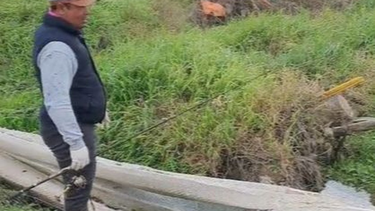 Penemuan Sisik Ular Raksasa Sampai Puluhan Meter yang Bikin Heboh