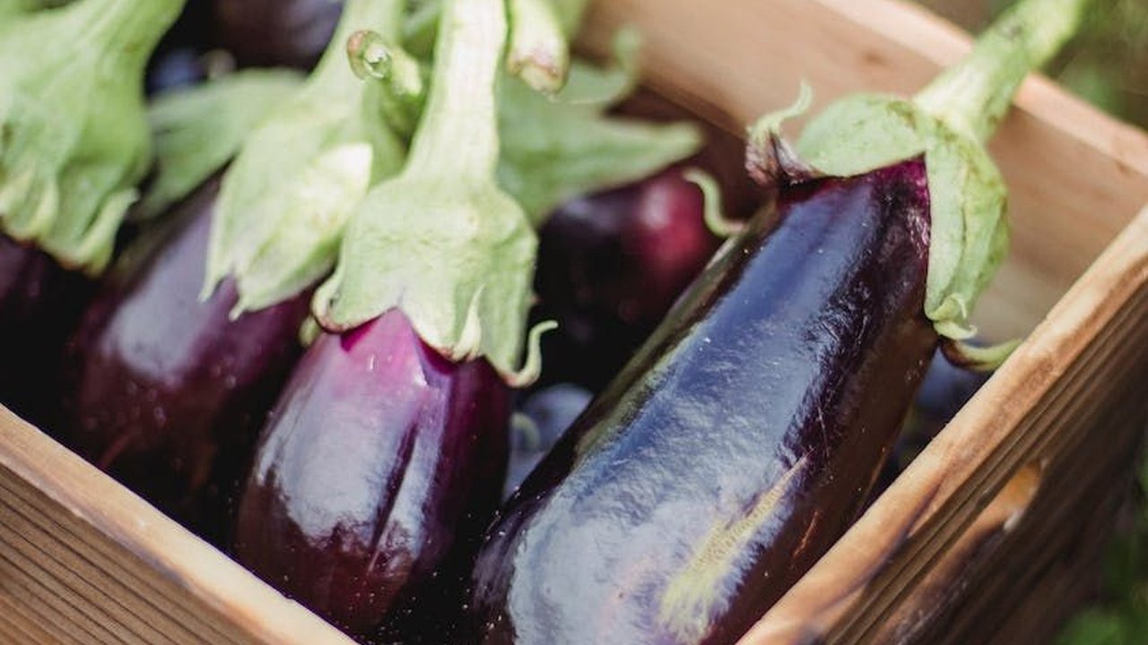 Resep Terong Bakar yang Enak dan Menggugah Selara, Mudah Dibuat