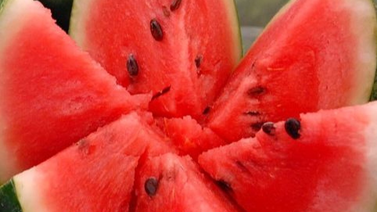 Arti Emoji Semangka untuk Dukung Palestina, Ketahui Sejarahnya