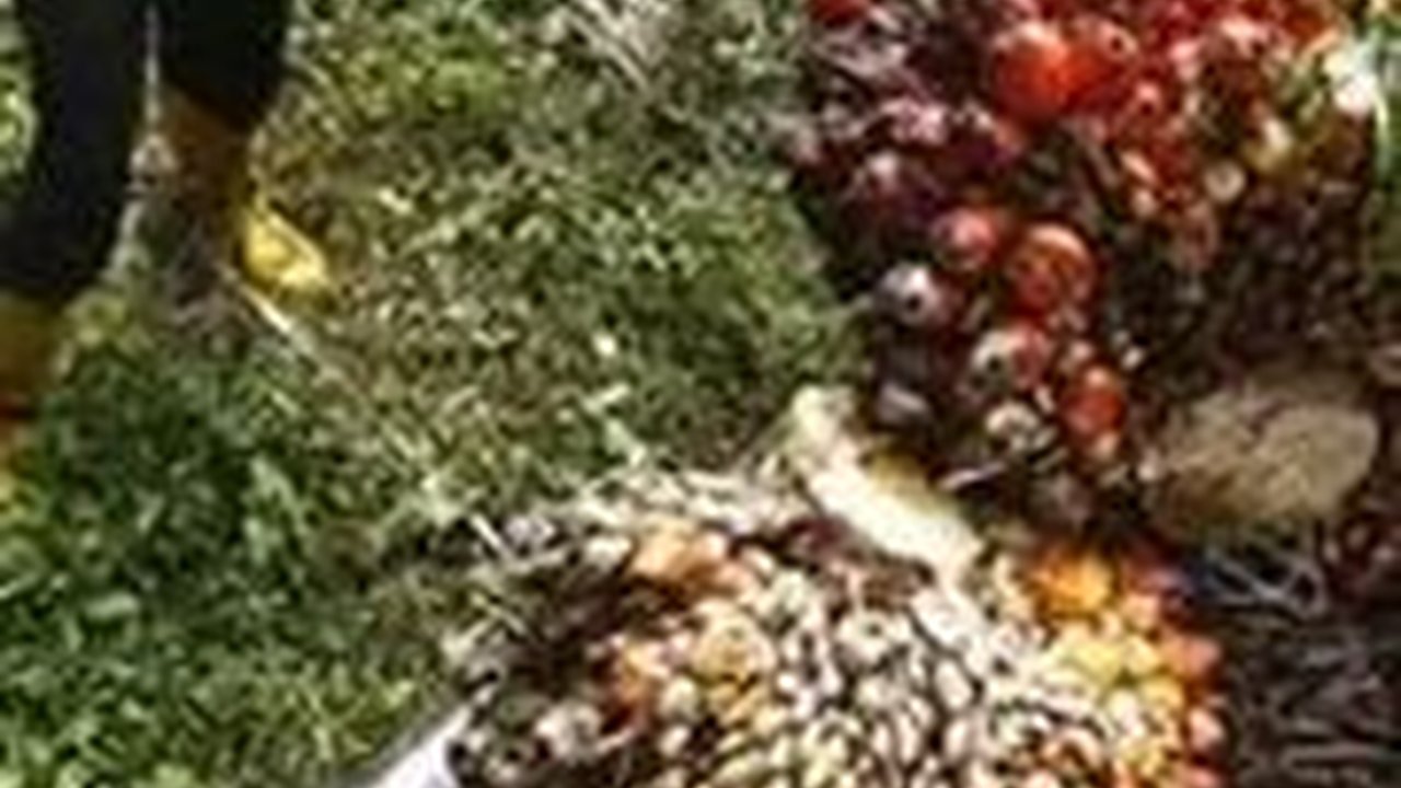 Pengusaha Kecewa Kinerja Industri Sawit Menurun Tahun Ini