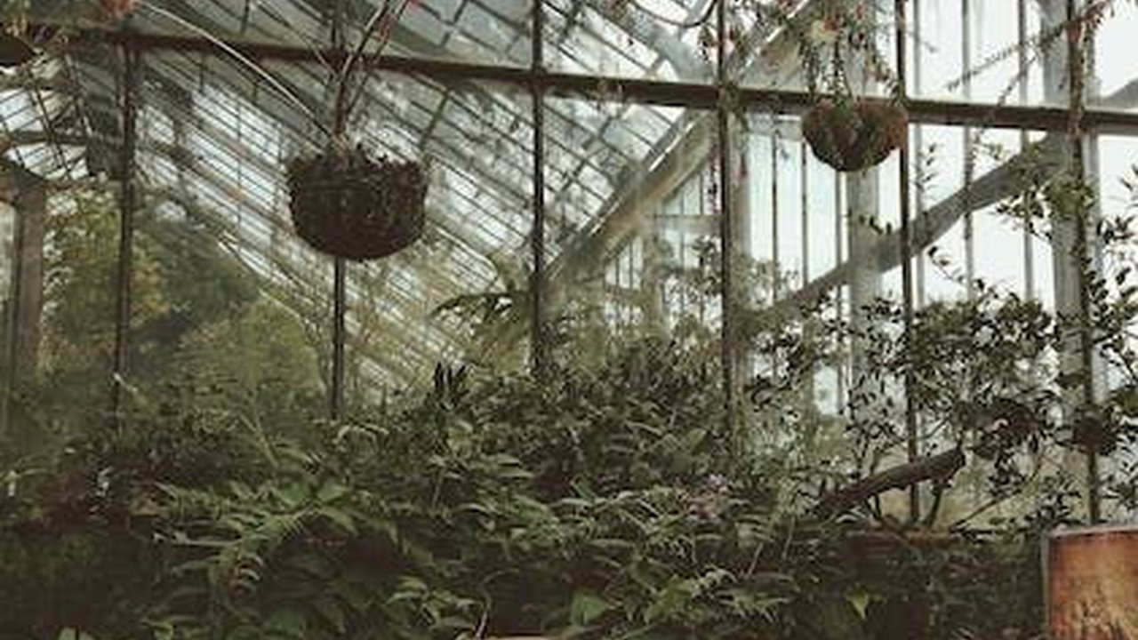 Terjatuh ke Sumur Sempit Sedalam 8 Meter, Begini Proses Evakuasi Pekerja yang Sedang Betulkan Pompa Air