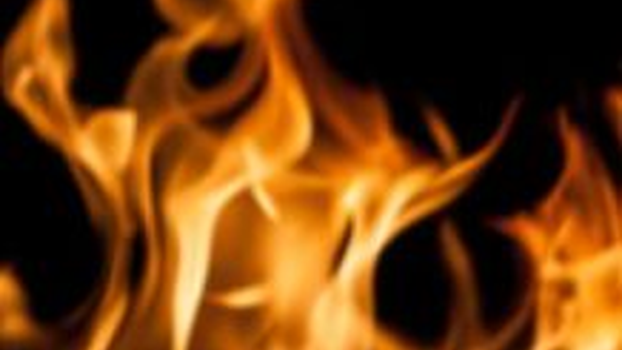 Viral Biskuit Mudah Terbakar karena Mengadung Lilin, Cek Faktanya