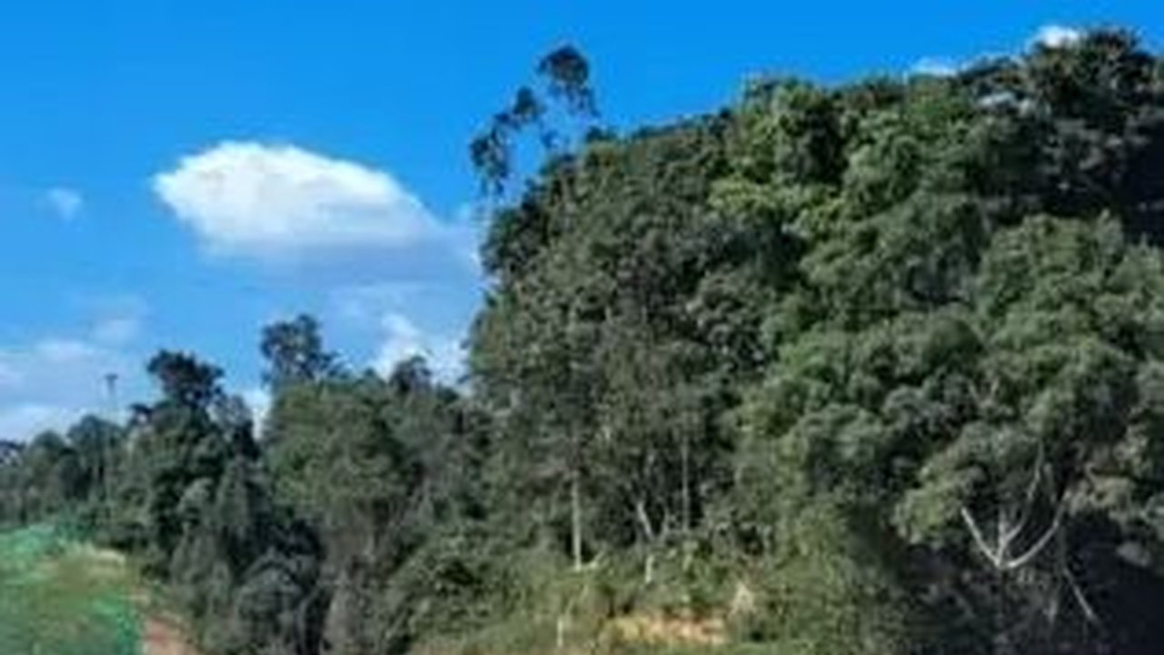 Ada 8 Tahap Proses Investasi di IKN Nusantara, Investor Domestik Paling Gercep