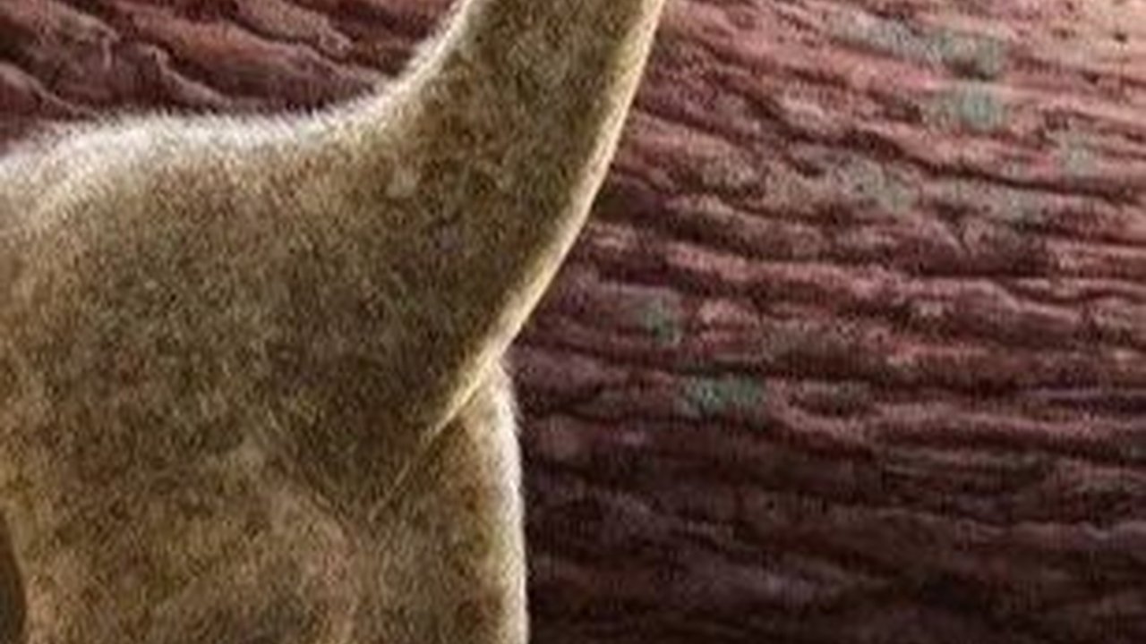 Ilmuwan Ungkap Bentuk Telur Dinosaurus Pertama, Ternyata Tidak Seperti yang Kita Bayangkan