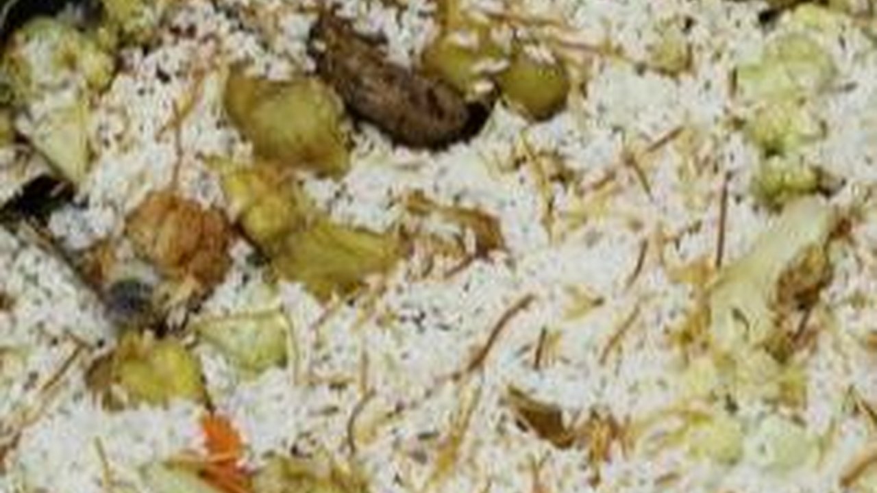 Mengenal Maqluba, Makanan Khas Palestina yang Jadi Simbol Perlawanan Terhadap Israel