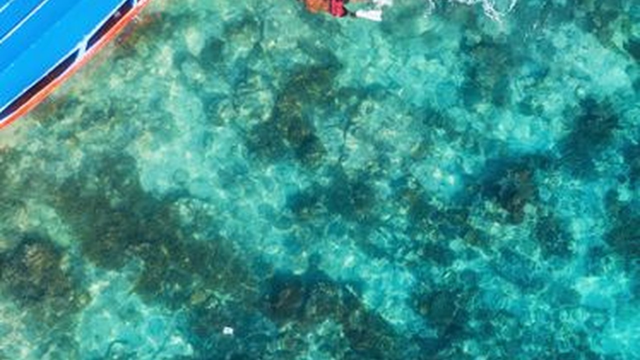 30 Quote tentang Alam Bahasa Inggris yang Menyejukkan Hati, Lengkap Disertai Artinya