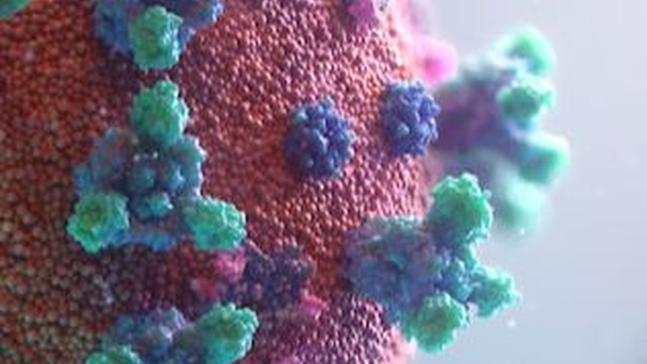 Jenis Virus yang dapat Menyerang Manusia, Picu Dampak Ringan hingga Berbahaya