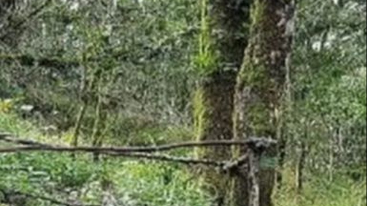 Mitos Gunung Ciremai, Bisa Jadi Tempat Mendaki Sekaligus Uji Nyali