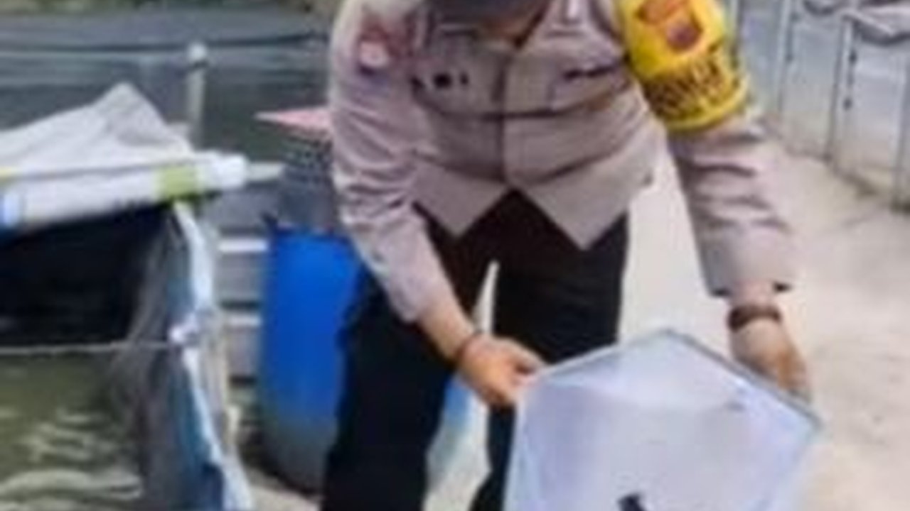 Inspiratif! Polisi di Boyolali Budidaya Lele Sejak Masa Pandemi COVID-19, Hasil Panen Dibagikan Gratis ke Warga