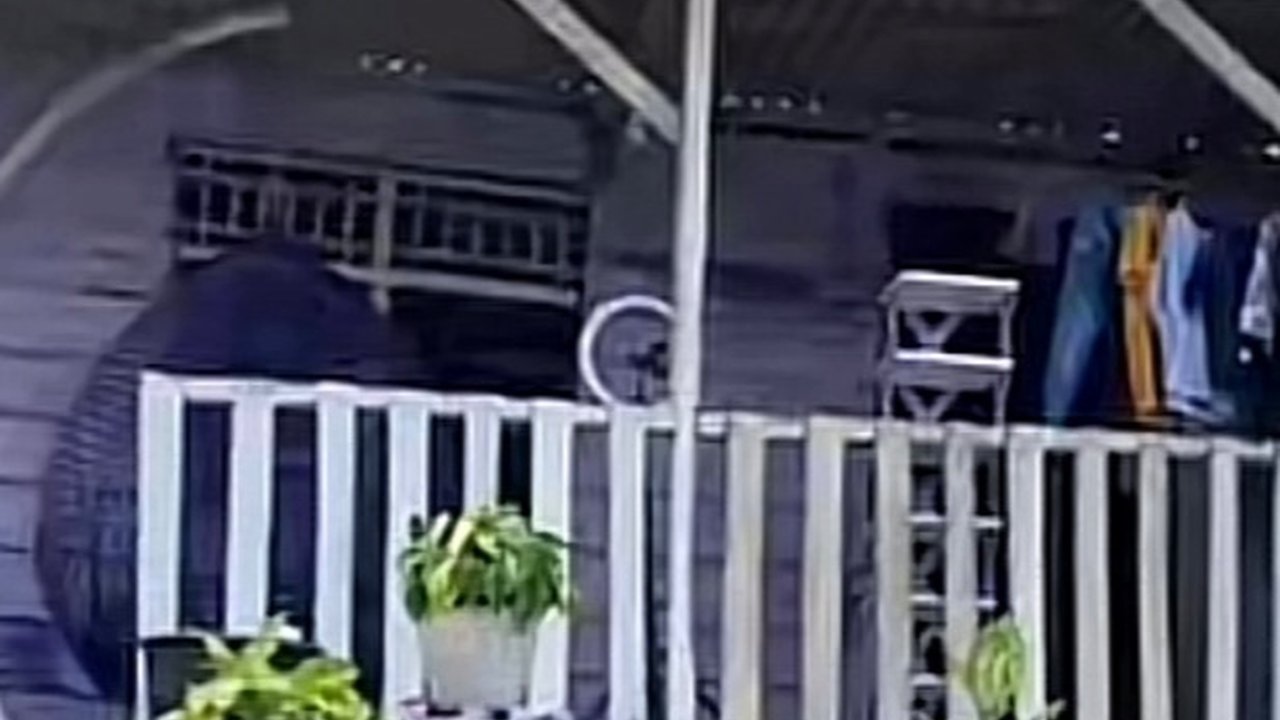Viral Rumah Unik Serba Ungu di Tepi Sungai, Begini Penampakannya