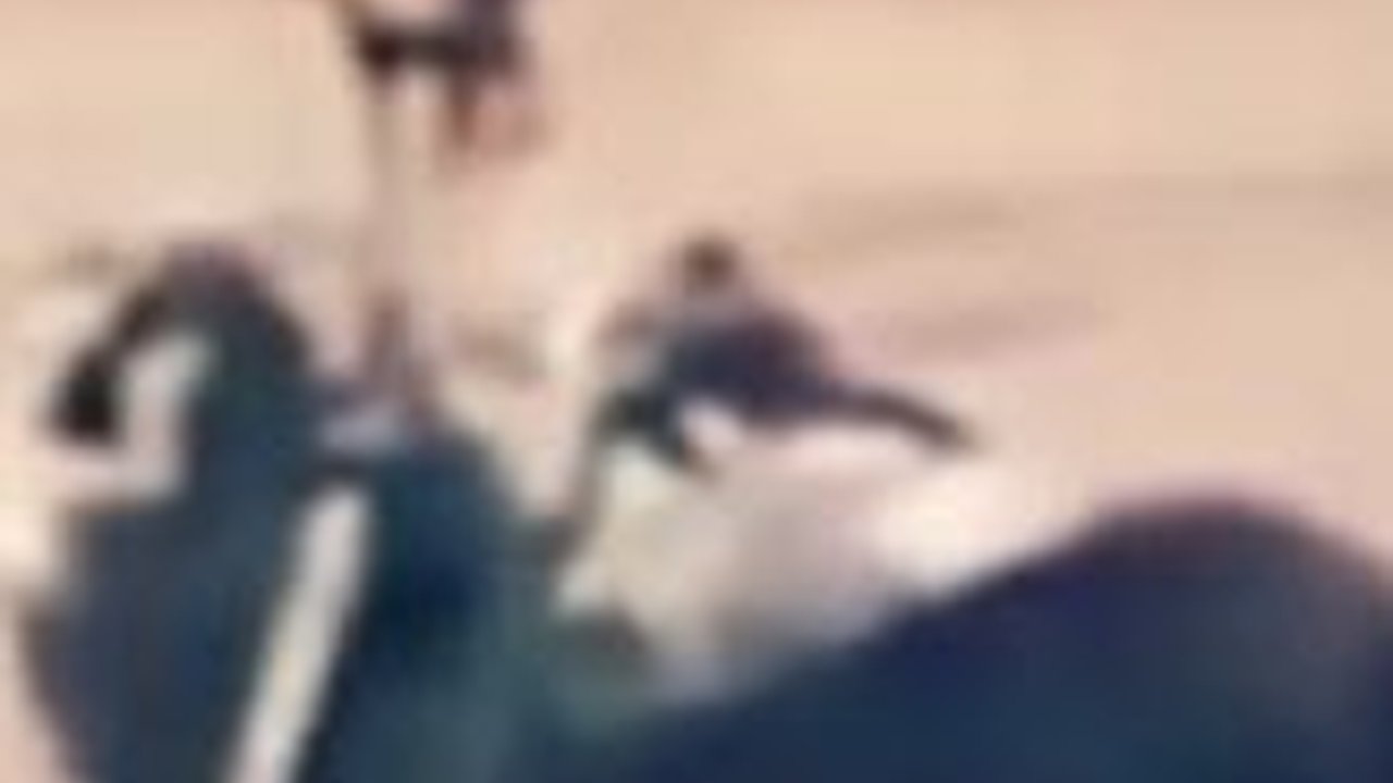 CEK FAKTA: Hoaks Tumpukan Mayat Korban Banjir di Aceh