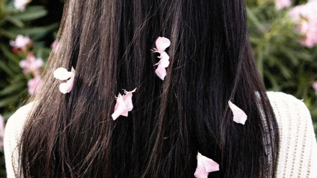 5 Manfaat Bunga Sepatu untuk Rambut dan Cara Mengolahnya