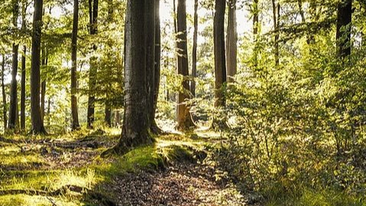 Masalah yang Ada di Lingkungan Sekitar Rumah, Waspadai Risiko Bencananya