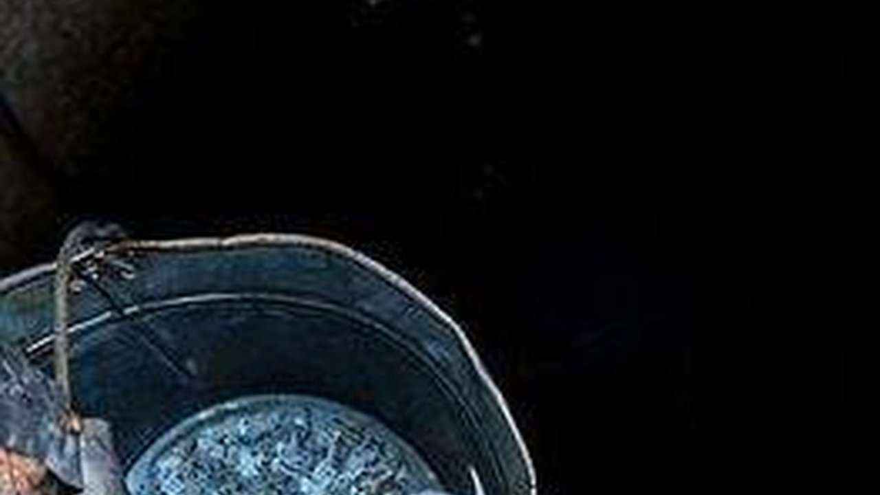 Miris, Harga Air di Gaza Naik 100 Persen Akibat Agresi Militer Israel