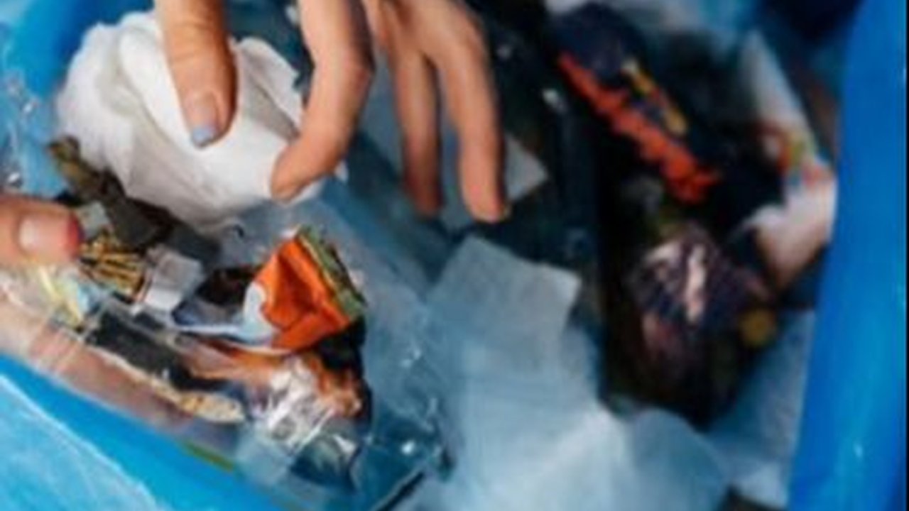 Upah Tukang Sampah di Amerika Serikat Nyaris Sama dengan Gaji Wakil Presiden di Indonesia