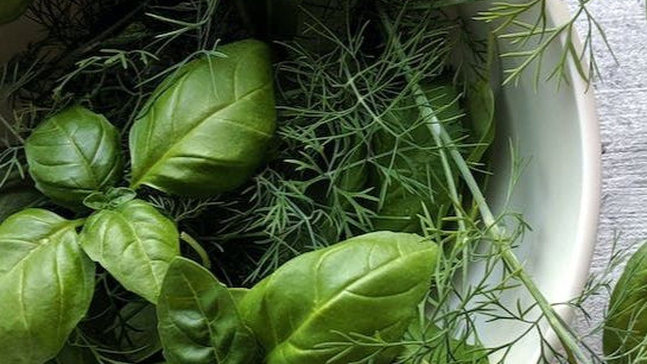 8 Manfaat Sehat dari Daun Kemangi, Jaga Kesehatan Jantung Hingga Atasi Bau Badan
