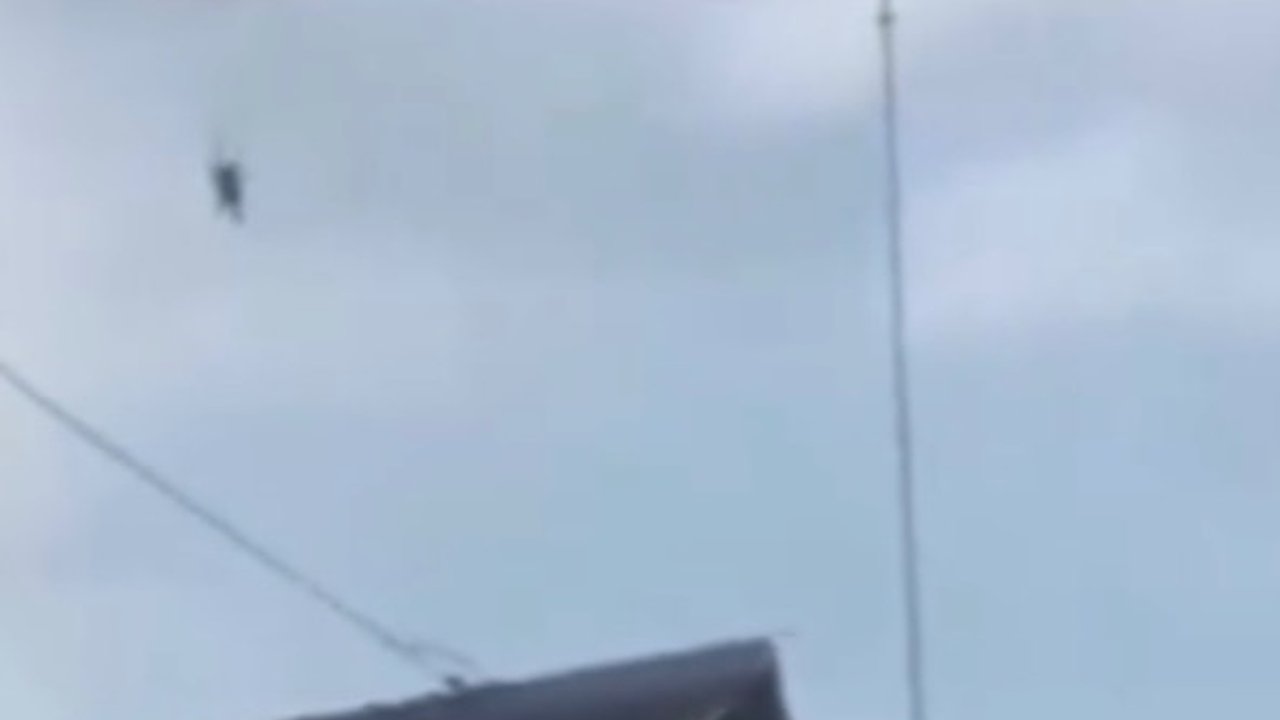 Viral Momen Penerjun Payung TNI Mendarat di Atap Rumah Warga, Parasut Tersangkut