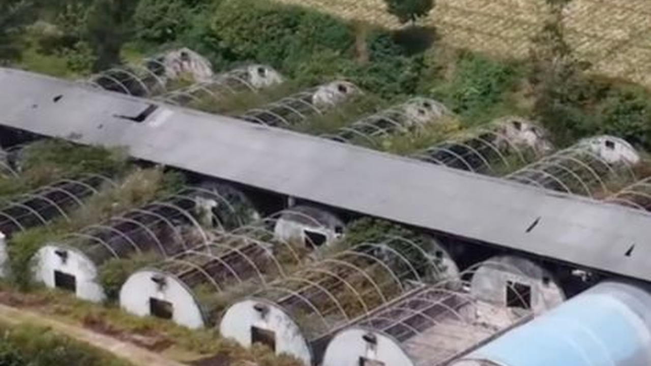 Terbengkalai, Ternyata Bangunan Ini Dulunya Pabrik Jamur Terbesar di Jatim, Begini Penampakannya Sekarang