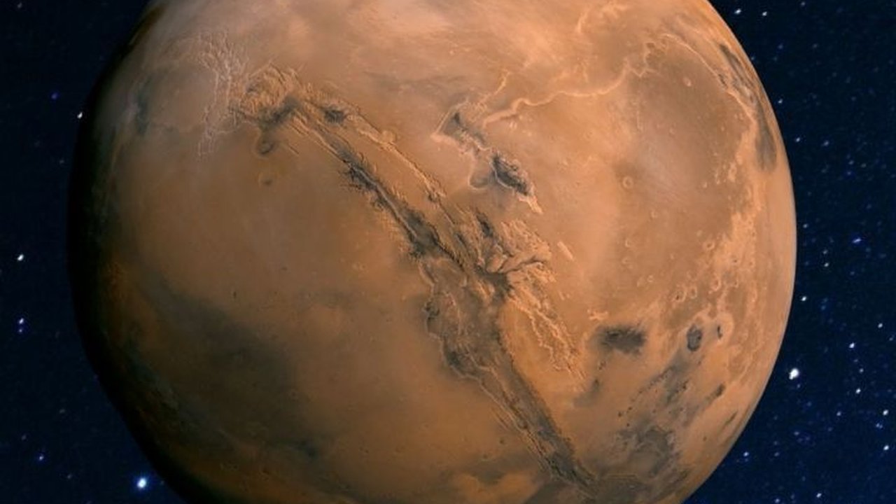Hewan Ini Punya Peran Penting jika Manusia Mau Membangun Koloni di Mars