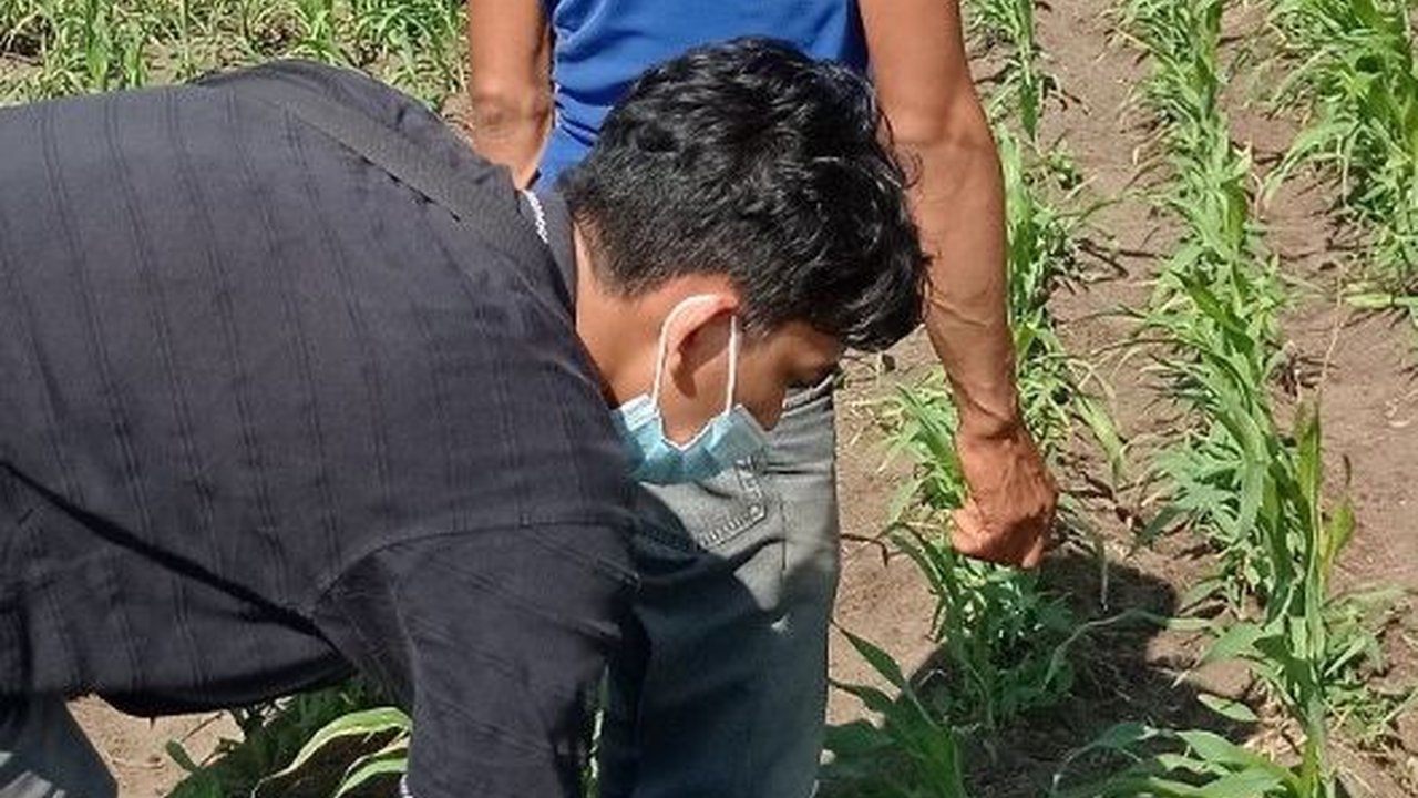 Hasil Seleksi Diumumkan, Ini Tugas dan Gaji Pendamping Lokal Desa