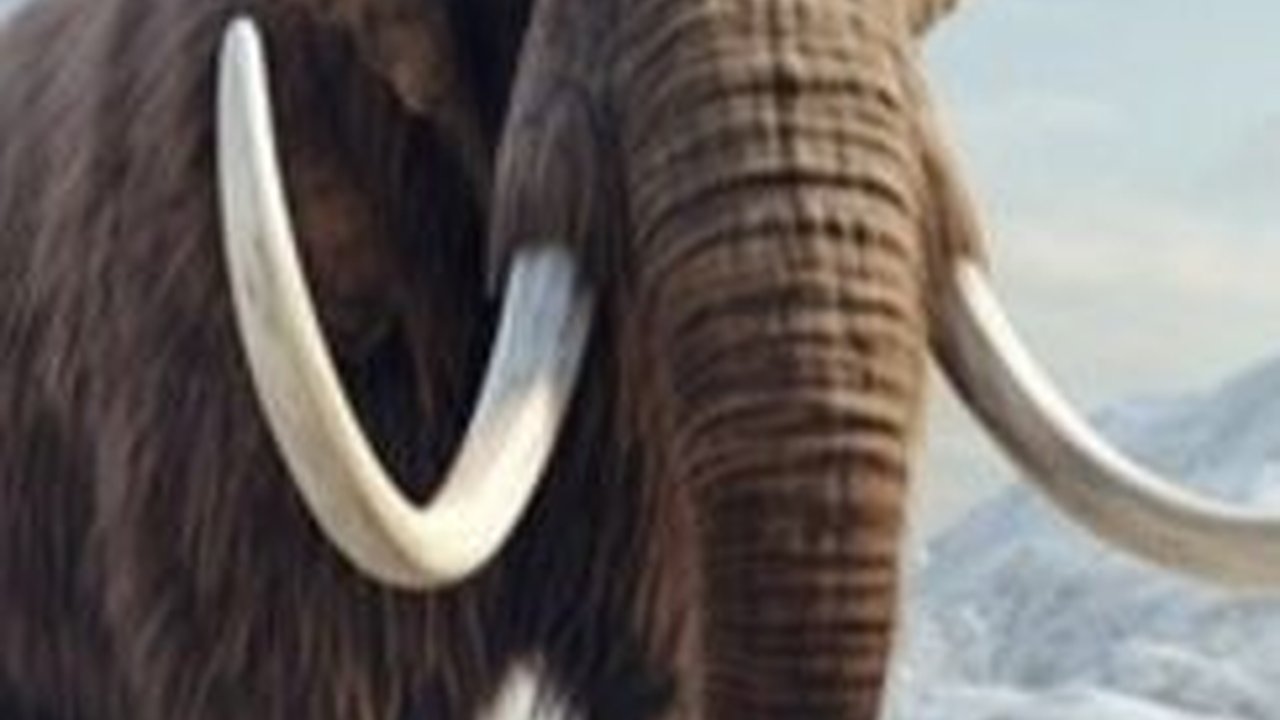 5 Hewan Raksasa yang Pernah Hidup Berdampingan dengan Manusia di Zaman Purba