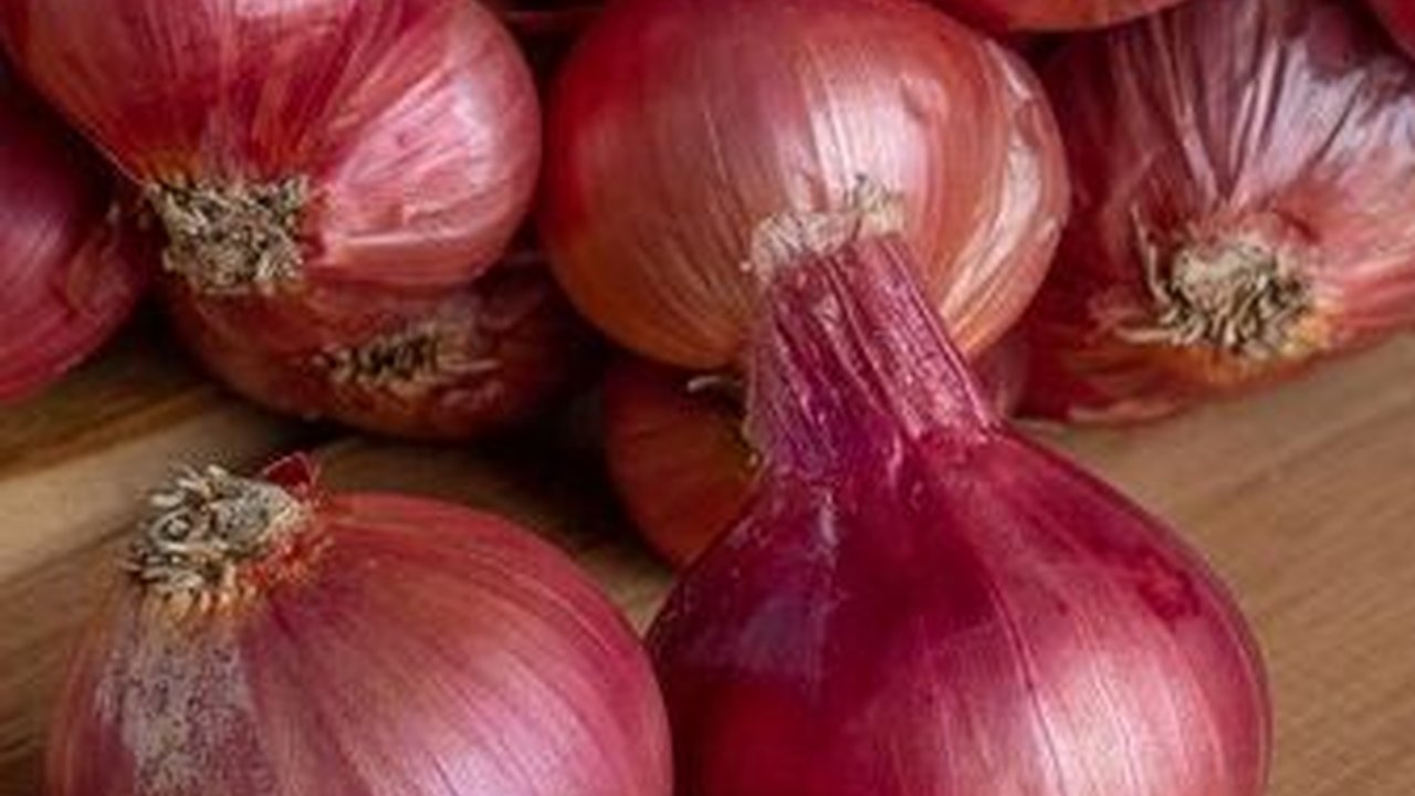 Cara Tradisional Menurunkan Demam Dengan Bawang Merah, Manfaat dan Metode yang Efektif