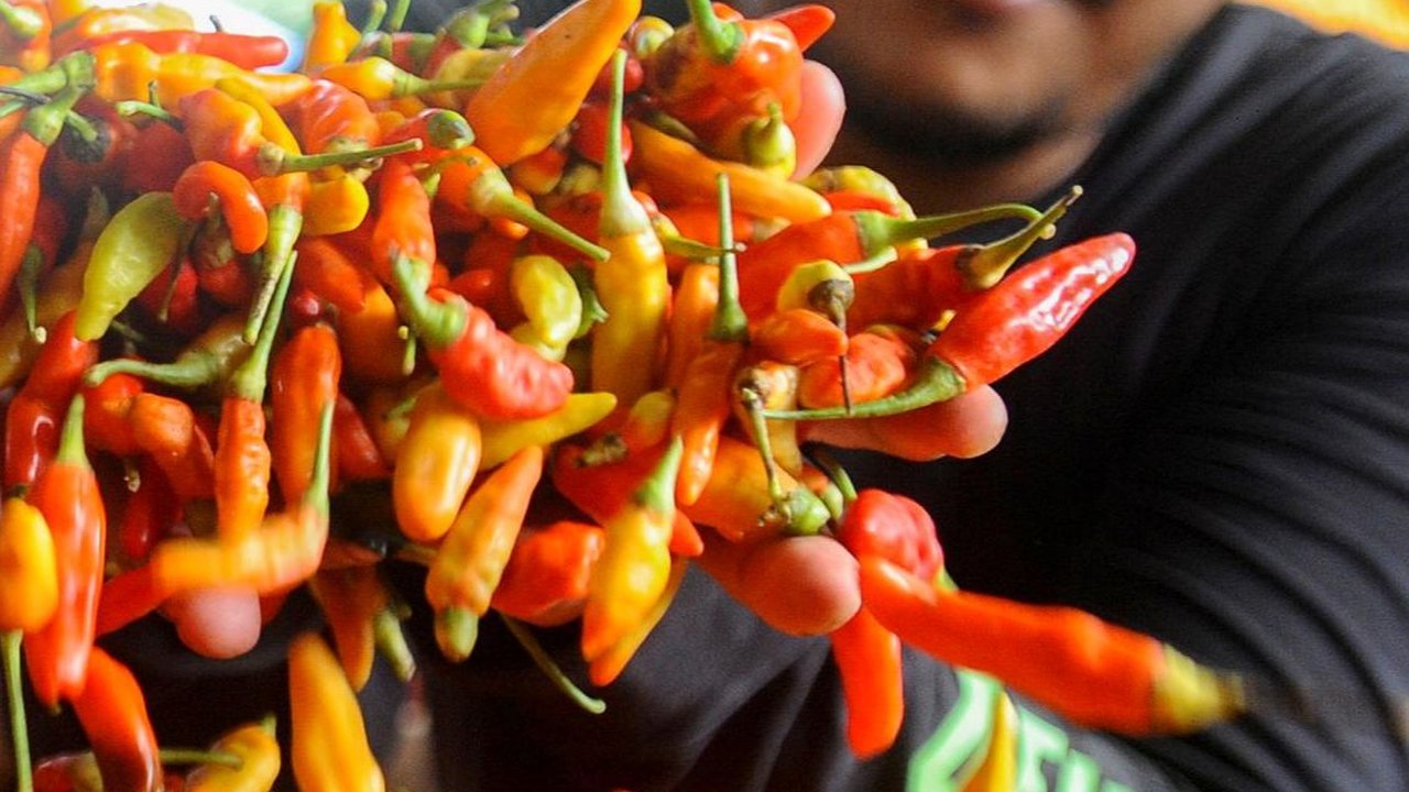 FOTO: Harga Cabai Rawit Merah Masih Tinggi Tembus Rp85 Ribu di Pasar Tradisional Jakarta