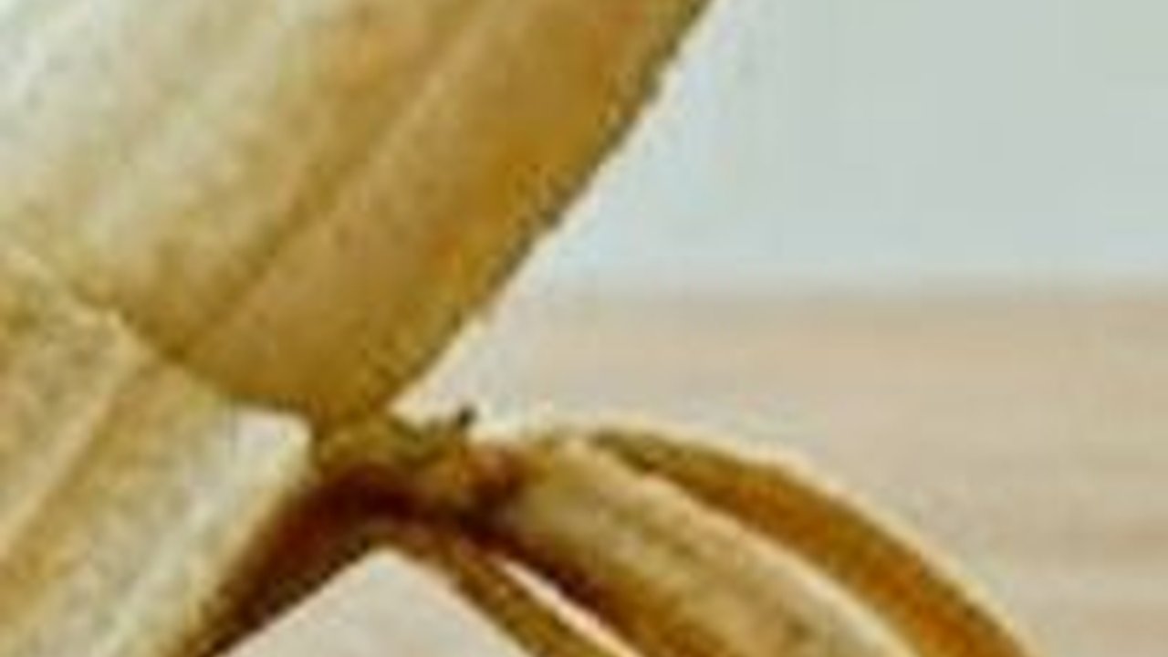 Kronologi Kelamin Bocah Terpotong saat Khitan Massal di Lahat