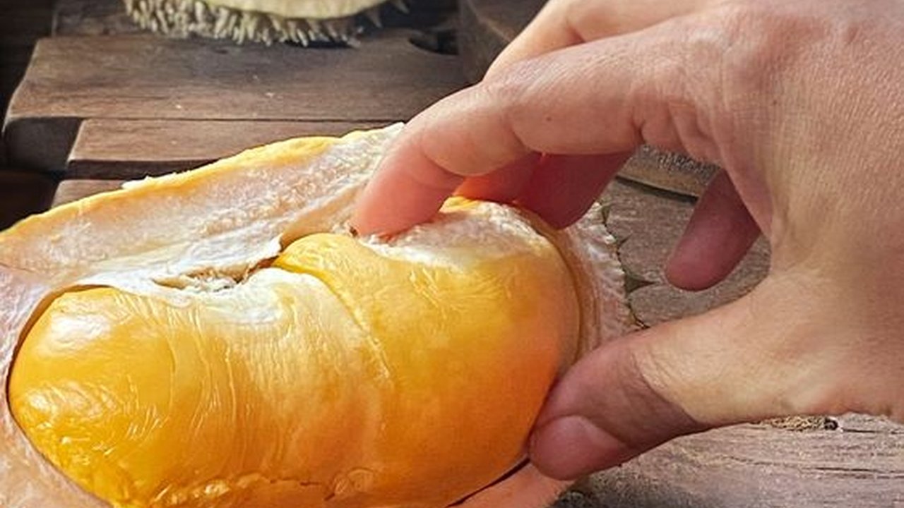 Lagi Musim! Begini Cara Pilih Buah Durian yang Matang dan Manis