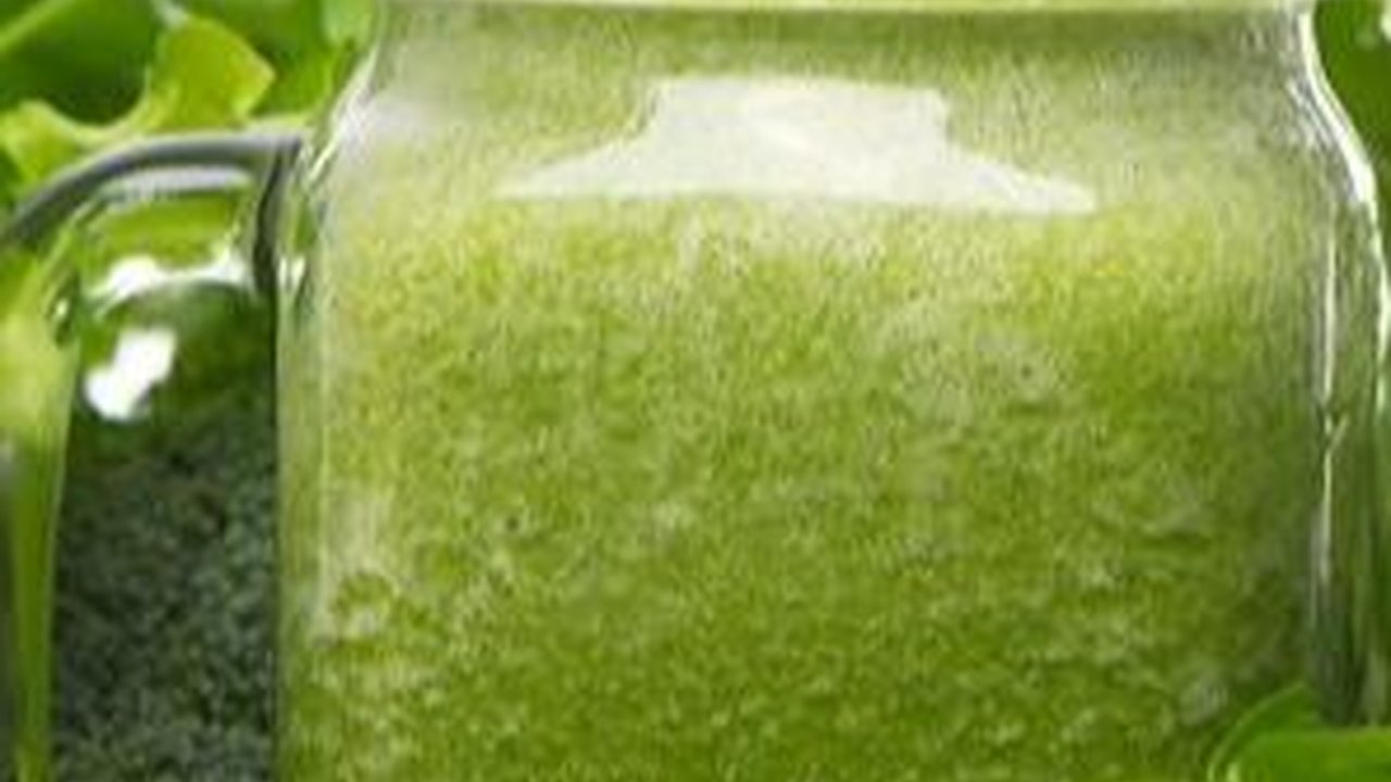 Jus Hijau, Senjata Ampuh Penurun Berat Badan