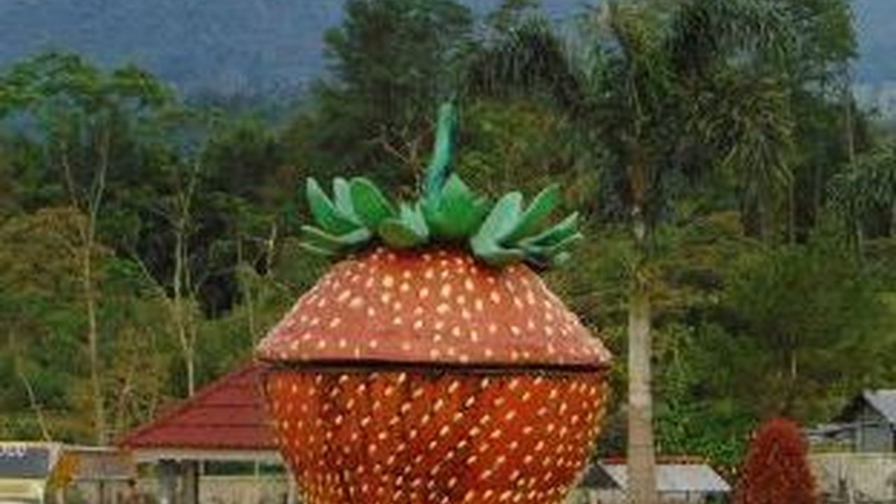 Mengunjungi Kebun Stroberi di Lereng Gunung Slamet, Liburan Murah Meriah Sembari Melepas Penat