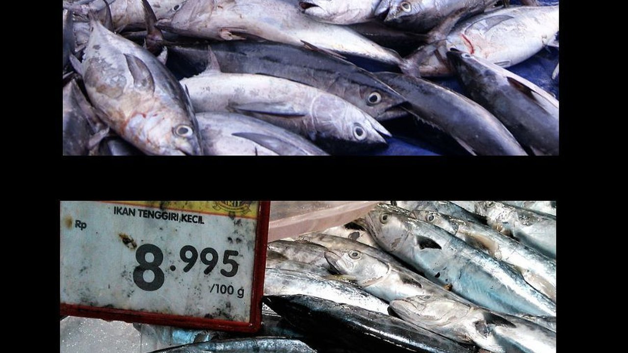 7 Ikan Murah Meriah yang Lebih Kaya Omega-3 daripada Salmon