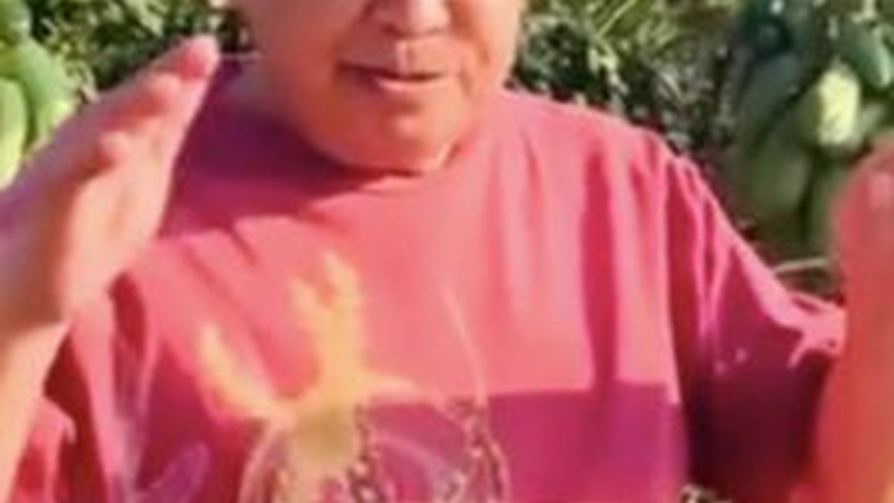 Jenderal Polisi Jadi Petani Tanam Pepaya California, Hasilnya Lebih Besar dari Uang Pensiun