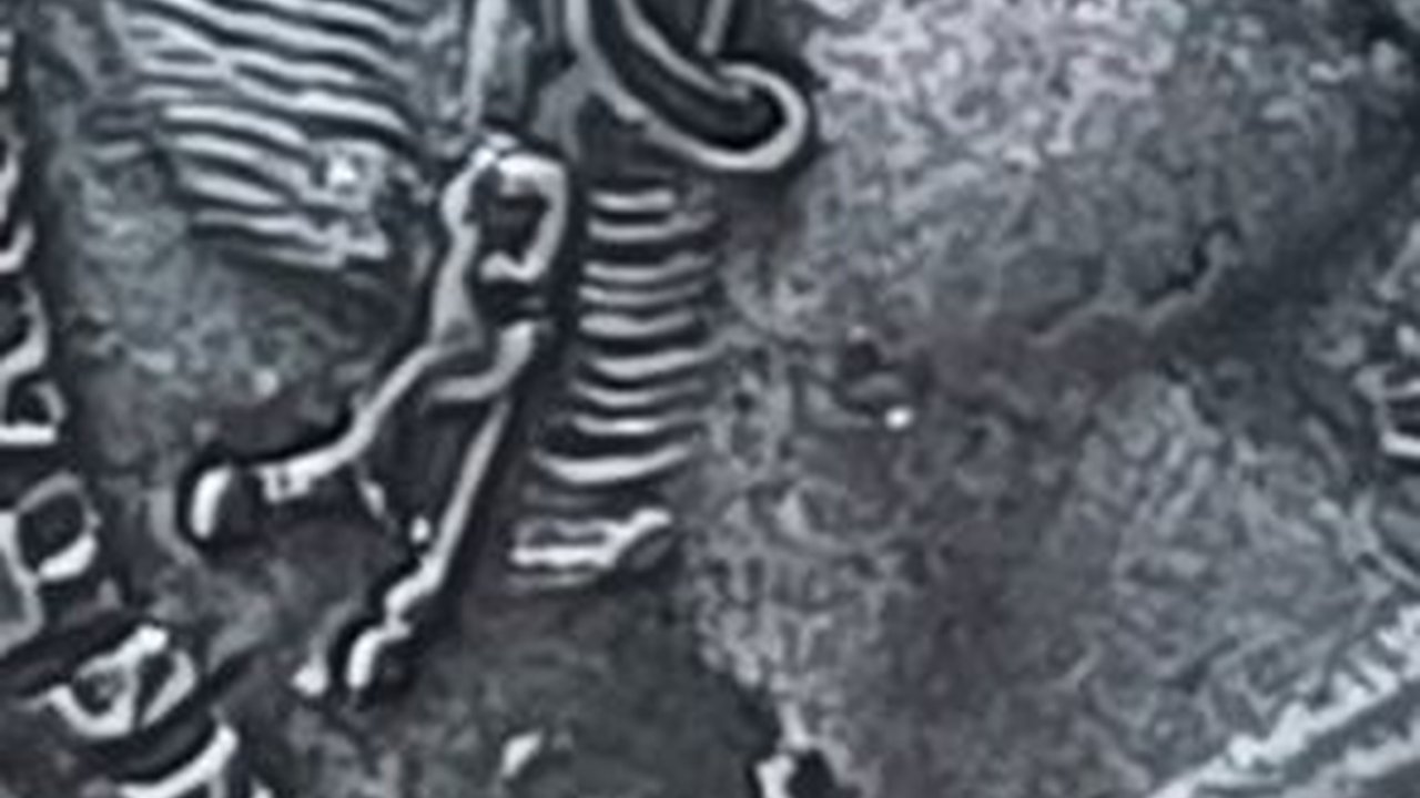 Penyelam Temukan Harta Karun di Bawah Laut, Diperkirakan Berisi 30.000-50.000 Keping Koin