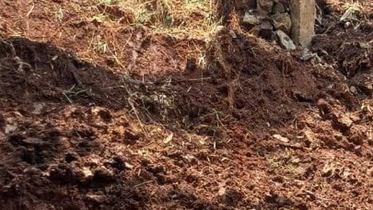 Turap Penahan Tebing di Taman Margasatwa Ragunan Jebol Akibat Curah Hujan Tinggi