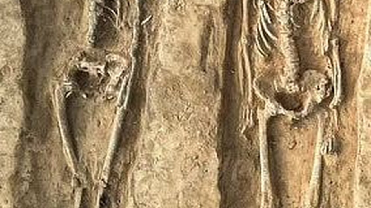 Misteri Kerangka Wanita Bangsawan Berusia 1000 Tahun yang Dimakamkan di Samping Suaminya, Wajah dan Kepalanya Bolong