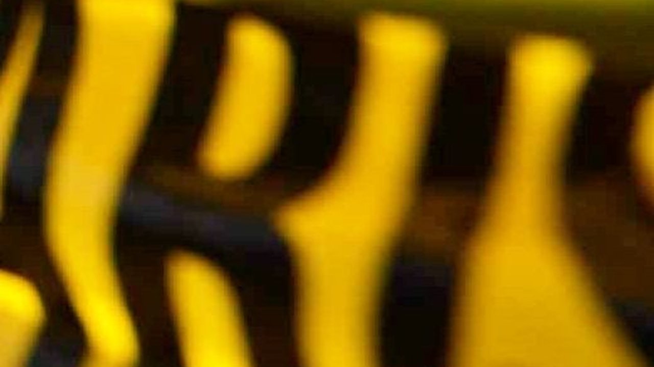 Terungkap! Sisi Lain Mahasiswi Unair Semasa Hidup, Sebelum Ditemukan Tewas di Mobil