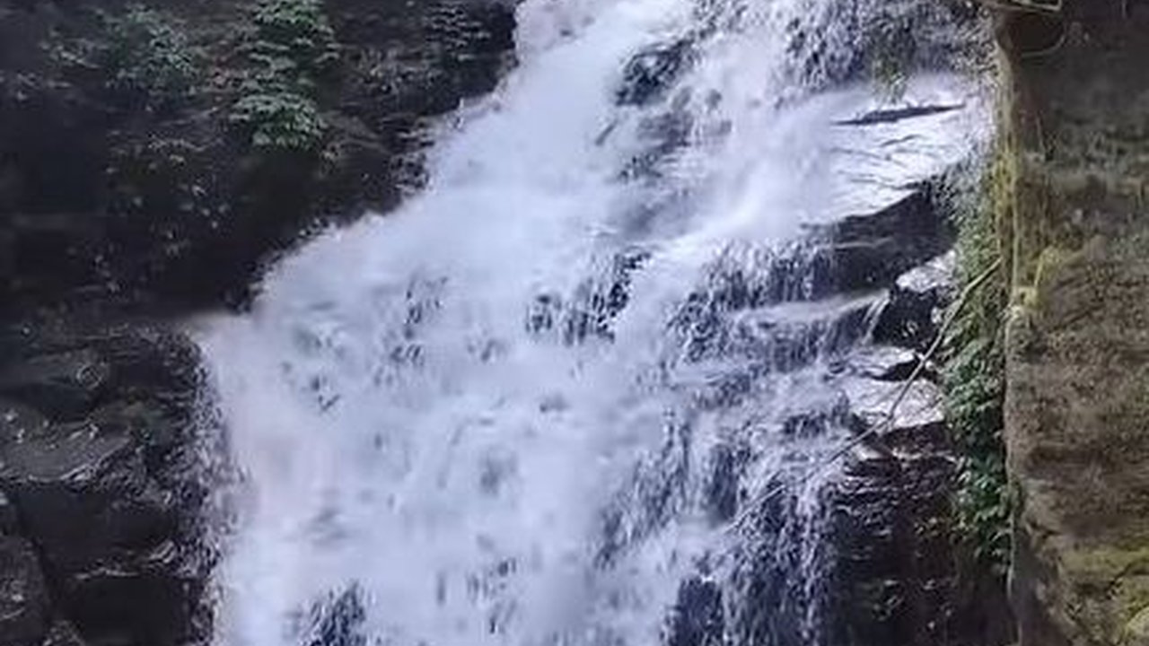 Menikmati Keindahan Curug Muara Jaya yang Estetik di Majalengka, Lokasinya Syahdu di Tengah Hutan