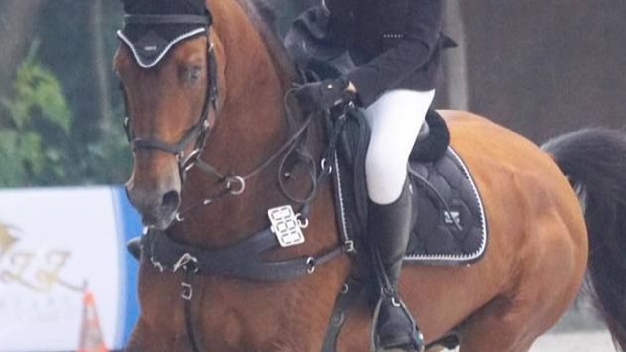 Potret Nabila Syakieb Saat Berkuda, Cantik Pancarkan Aura Bangsawan