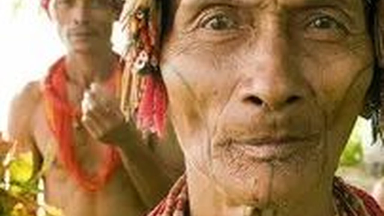 Mengulik Gajeuma, Alat Musik Tradisional Mentawai yang Terbuat dari Kulit Biawak