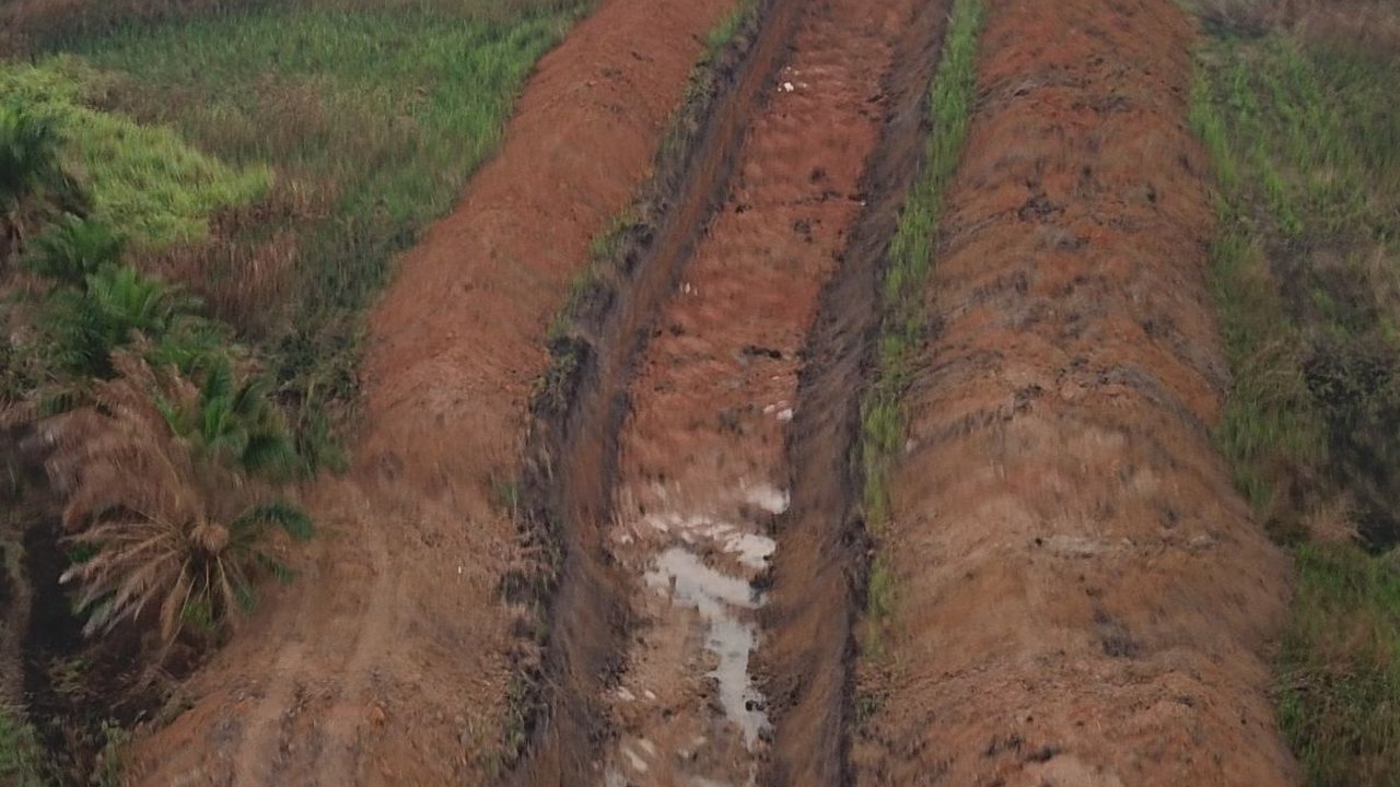Wujudkan Lumbung Pangan Dunia, Kementan Siapkan Lahan Rawa