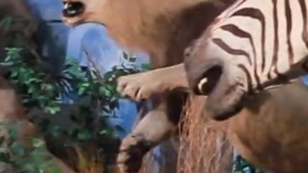 Jalan-jalan ke Rahmat International Wildlife Museum & Gallery di Kota Medan, Punya Koleksi Ribuan Hewan Liar yang Diawetkan