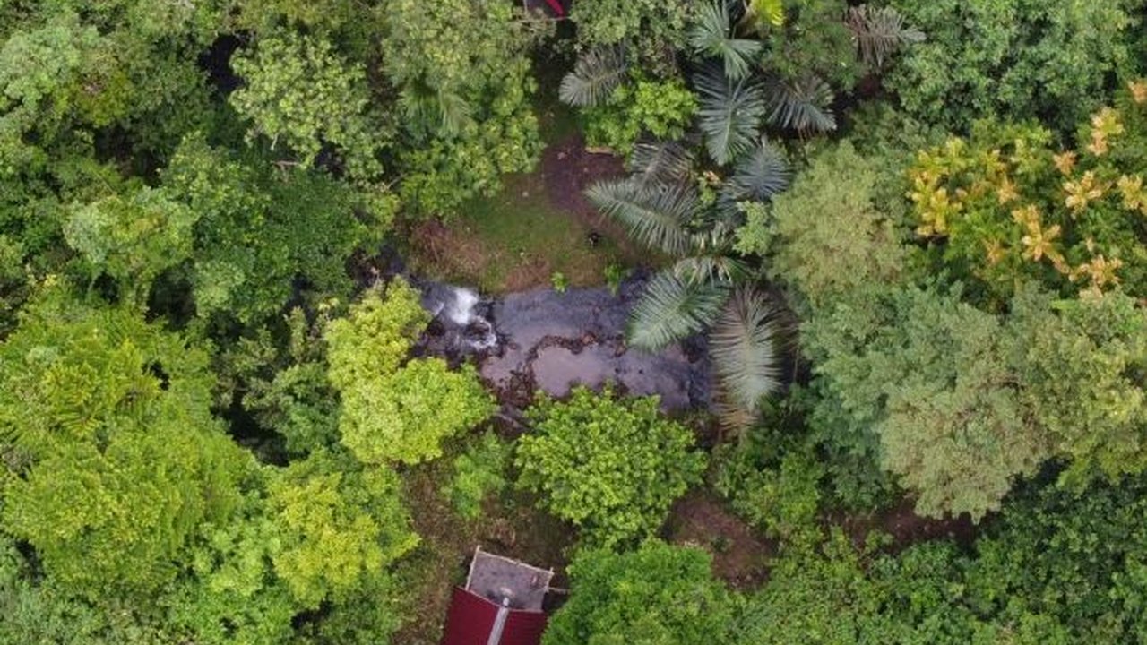 Dapat Dana Karbon, Kutai Timur Fokuskan ke Desa