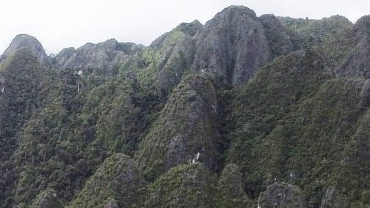 Menakar Kutai Timur sebagai A Magic Land